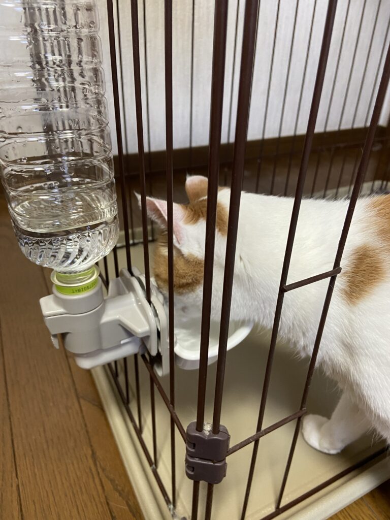 ペット給水機