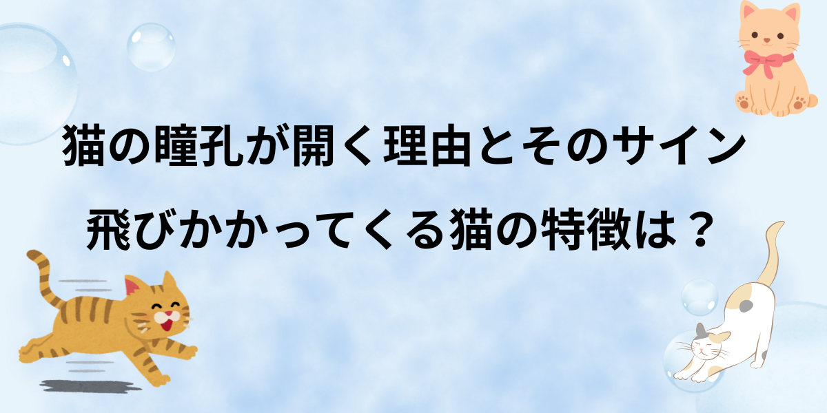 アイキャッチ画像
